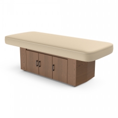 Alexander-B Electric Medical Spa Table Powerlift Massage Table