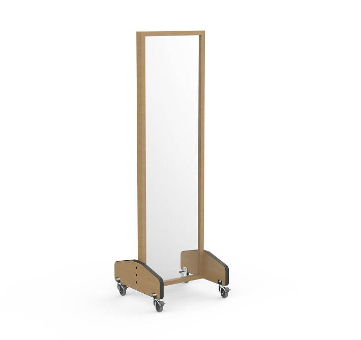 Physical Therapy Mobile Treatment Mirror