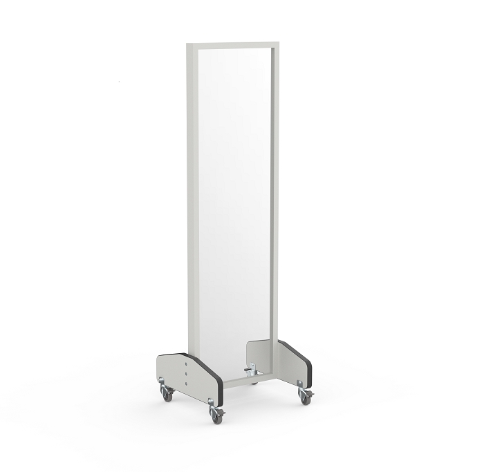 Physical Therapy Mobile Treatment Mirror