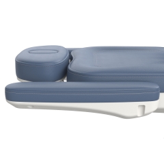 Otto 342 China Factory Wholesale Electric Facial Chair All Kinds Beauty Massage Bed for Resellers