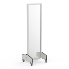 Mobile Medical Physiotherapy Treatment Mirror, Wheeled Rehab Training Mirror for Patient Posture & Gait Correction